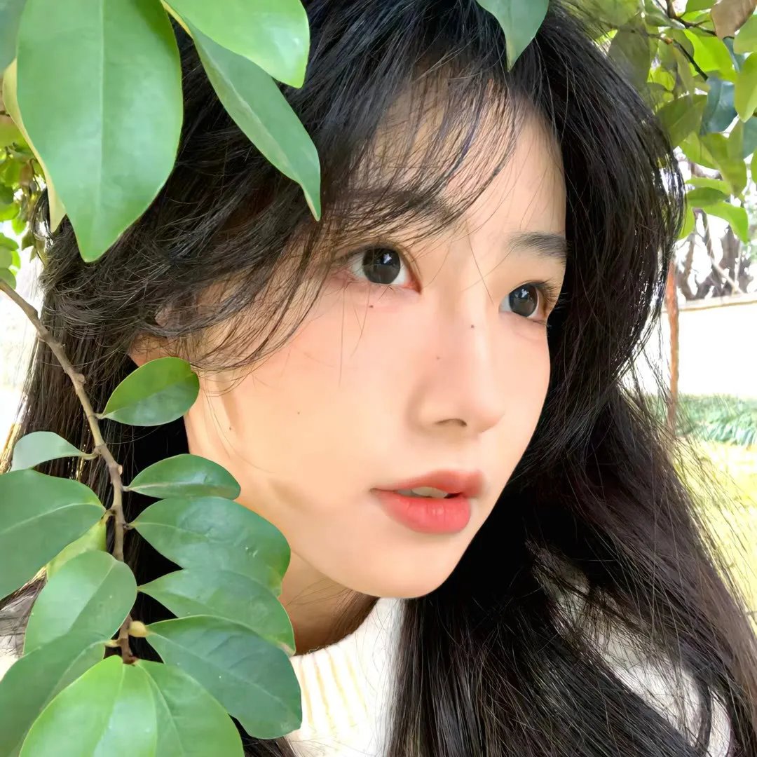 胖宝的春天