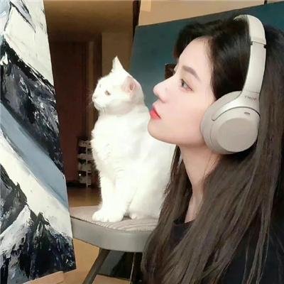 偷心俏冤家